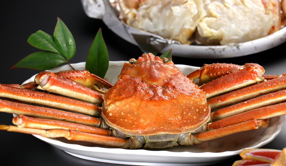 松葉ガニ